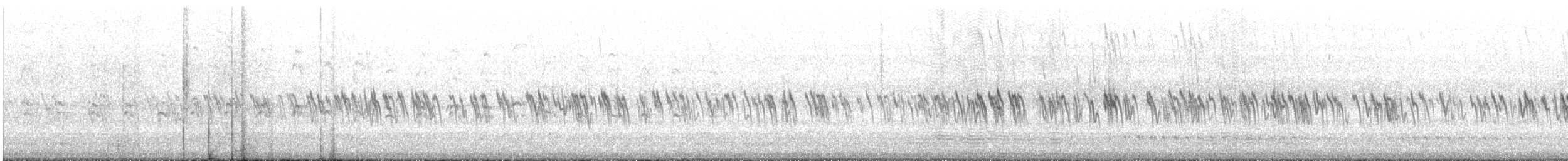 Pictorella Munia - ML636663688