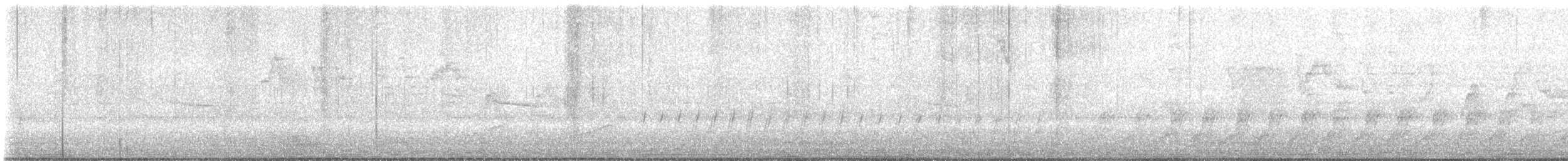 Gray-cheeked Thrush - ML636664668