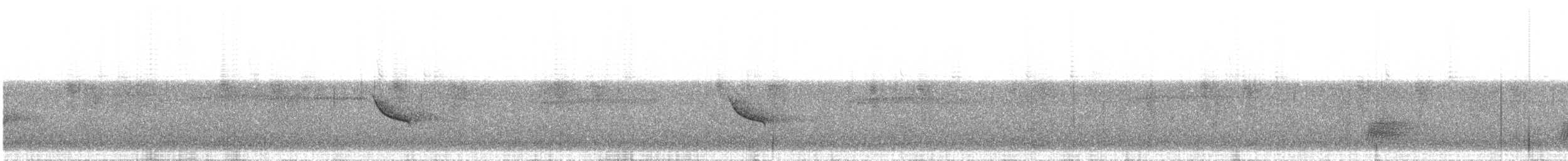 Bolivian Tyrannulet - ML636665255