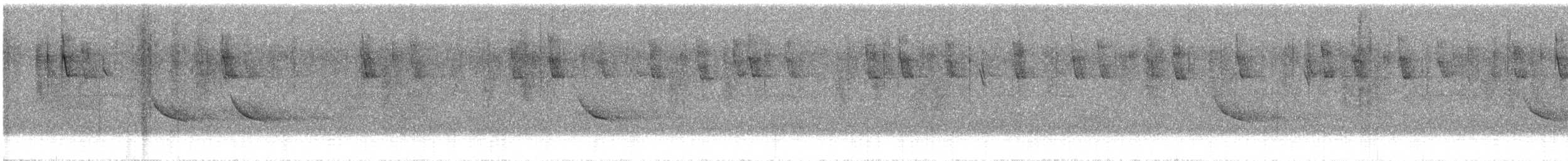 Bolivian Tyrannulet - ML636665264