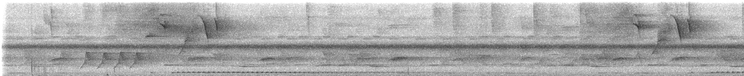 Puerto Rican Owl - ML636666066