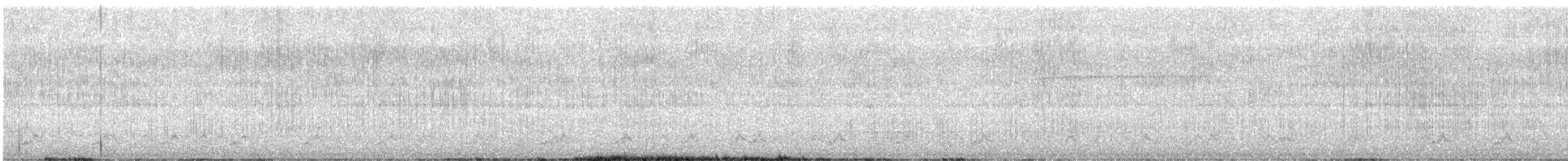 Puerto Rican Nightjar - ML636668012
