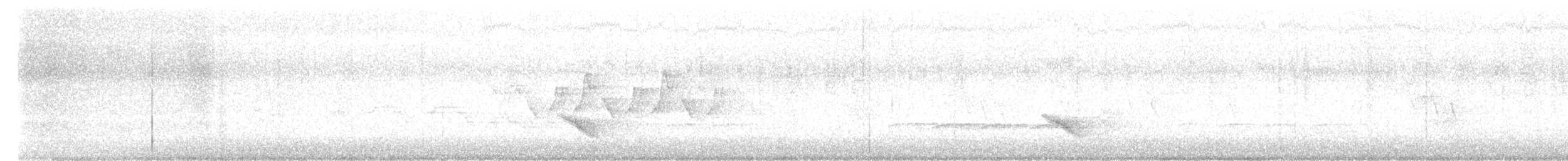 Veery - ML636669122
