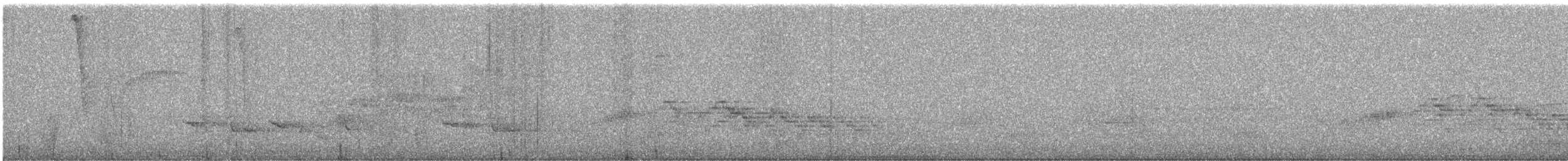Catharus sp. - ML636669312