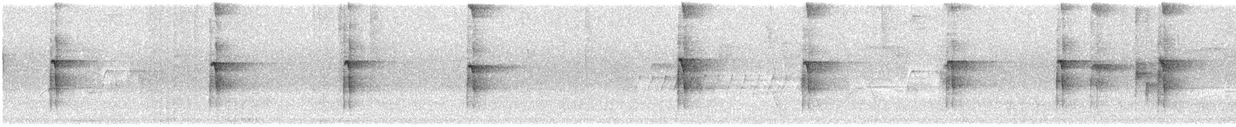 Haarspecht - ML636669717