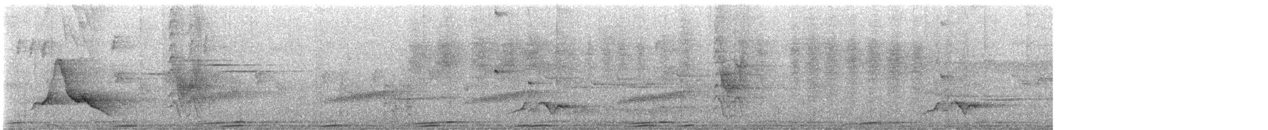 Black-faced Monarch - ML636670225