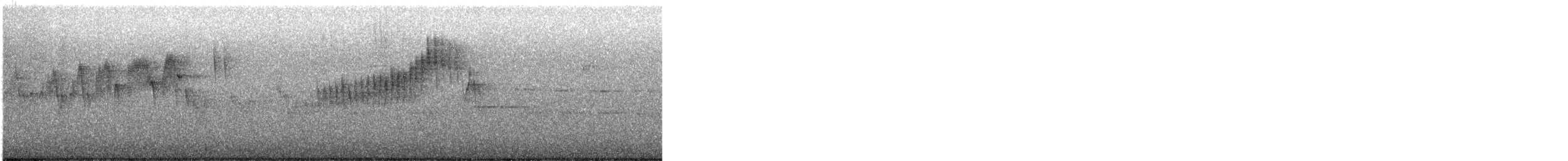 Northern Parula - ML636670237