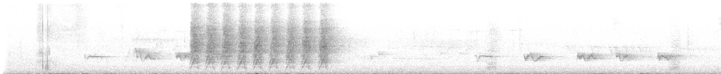 Island Scrub-Jay - ML636674158