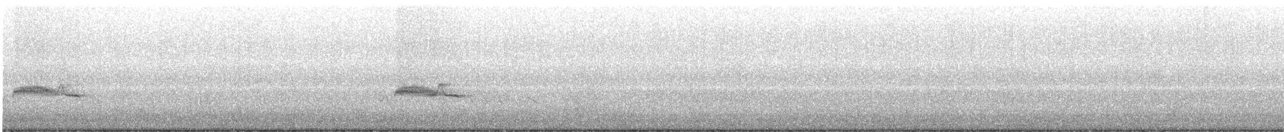 Western Wood-Pewee - ML636677291