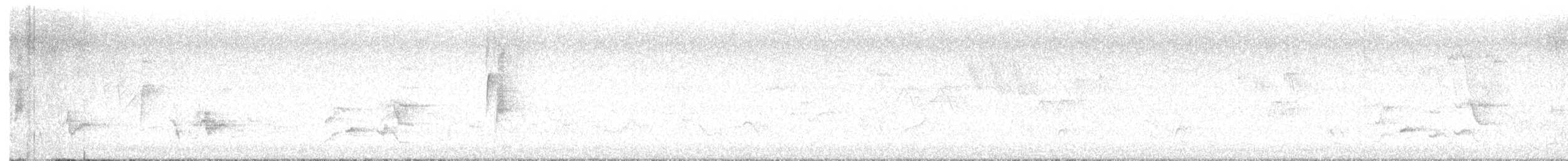 Least Flycatcher - ML636678155