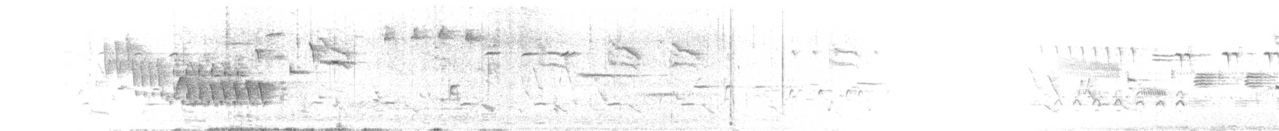 Blackpoll Warbler - ML636678815