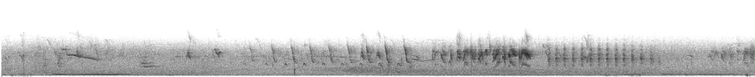 White-tipped Dove - ML636679234