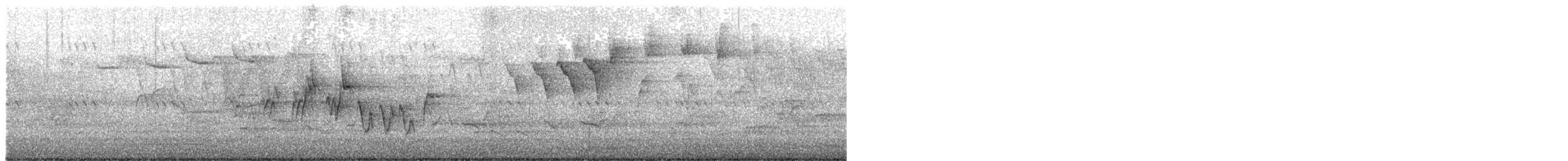 svartbrystparula - ML636681195