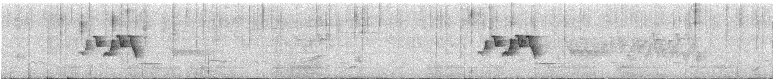 シロオビアメリカムシクイ - ML636682478