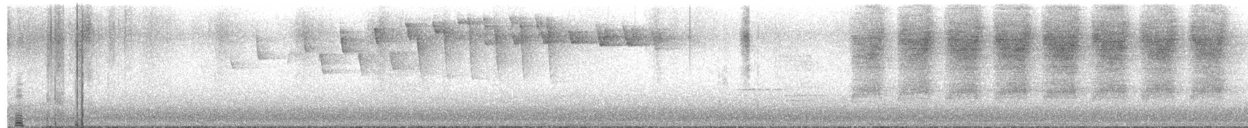 Tennessee Warbler - ML636683834