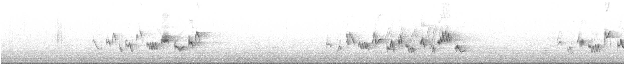 Western Warbling Vireo - ML636685047