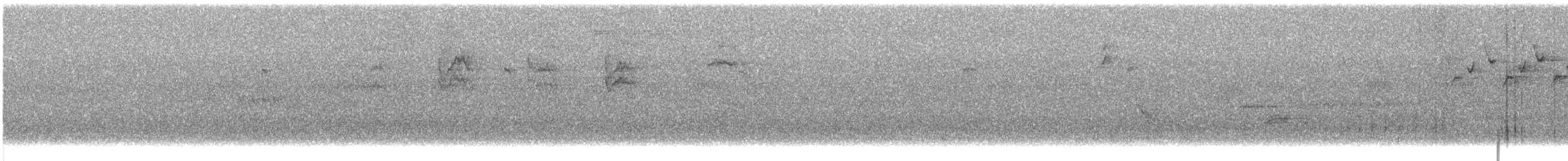 Black-and-white Warbler - ML636687027