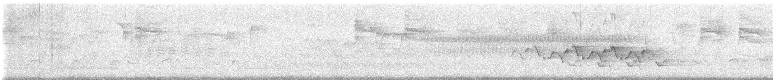 Yellow-throated Warbler - ML636688862