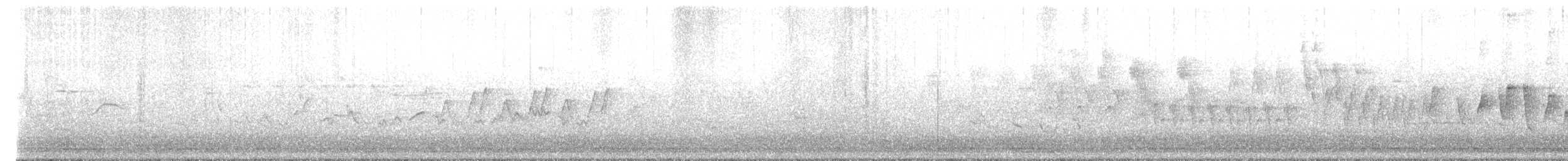 Connecticut Warbler - ML636689003
