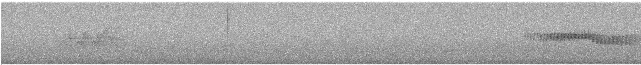 Magnolia Warbler - ML636689413