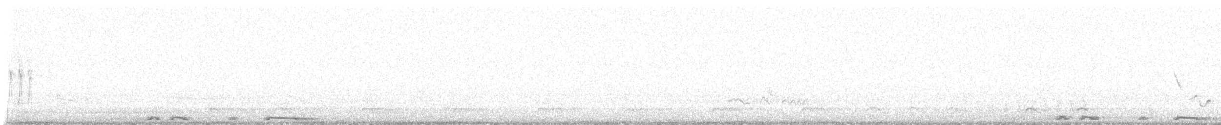 White-winged Dove - ML636689658