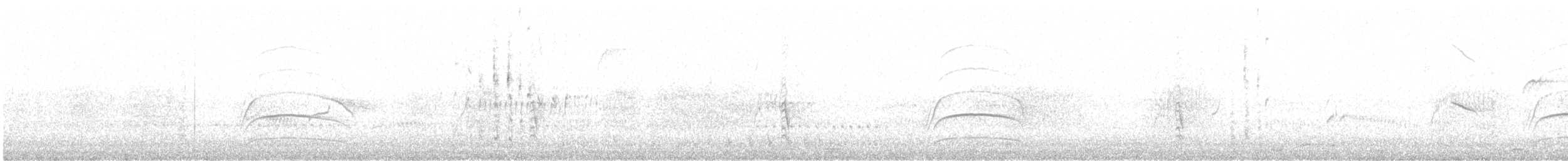 Lark-like Brushrunner - ML636689668