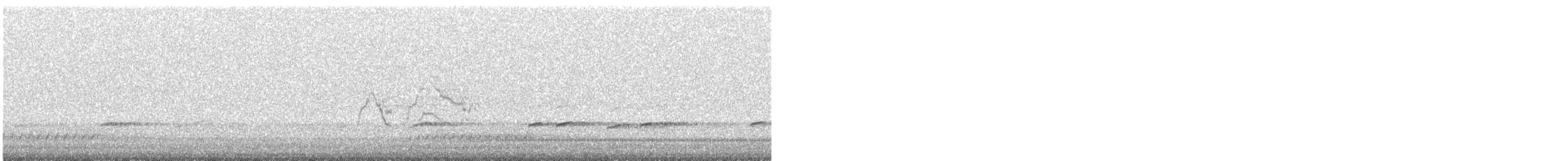 Catharus sp. - ML636690928
