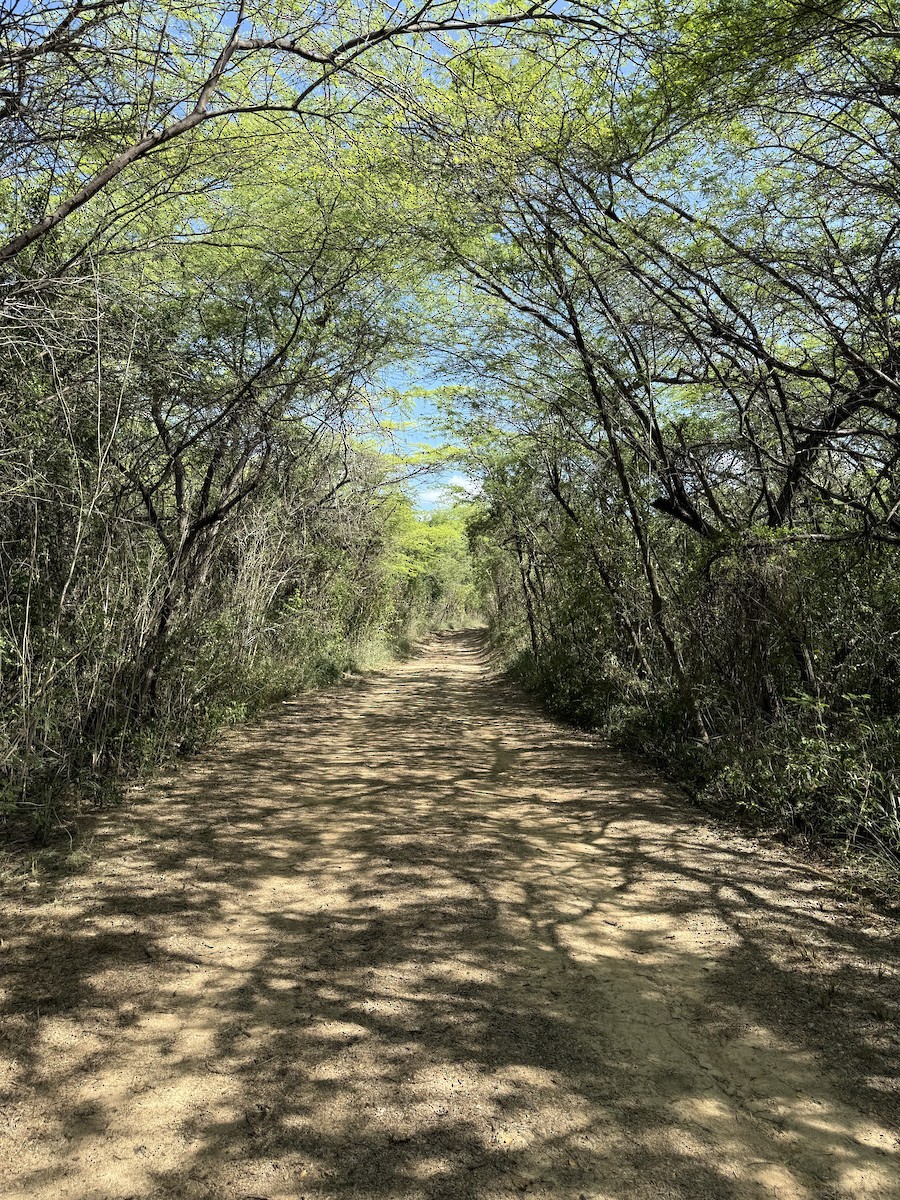 null - ML636691647