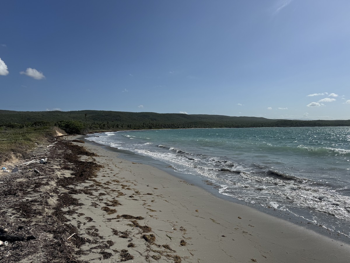 null - ML636691648