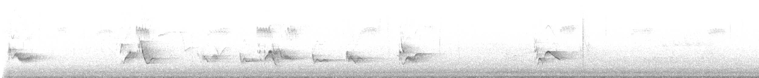 Viréo de Cassin - ML636691922