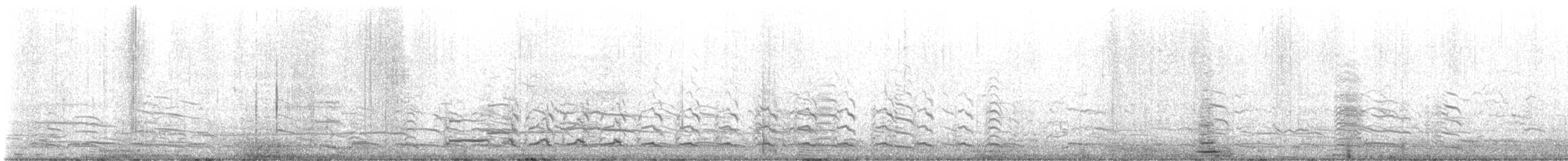 American Herring Gull - ML636694425