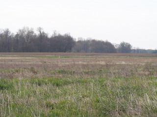 Lye Creek Prairie Burn, aka The Burn, Montgomery, Indiana, United ...