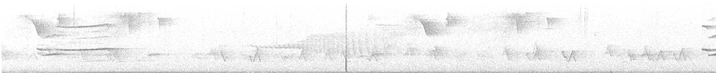 Broad-winged Hawk (Caribbean) - ML636695937