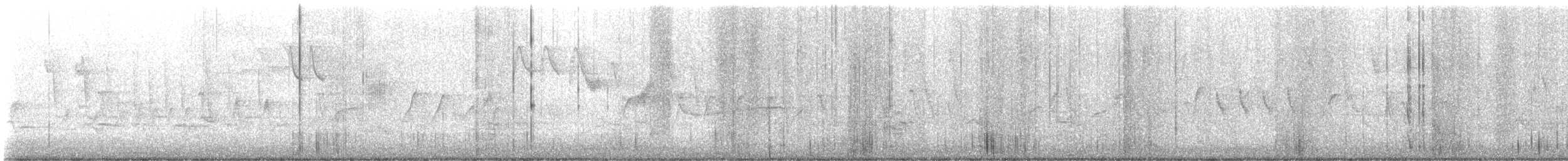 Northern House Wren - ML636697029