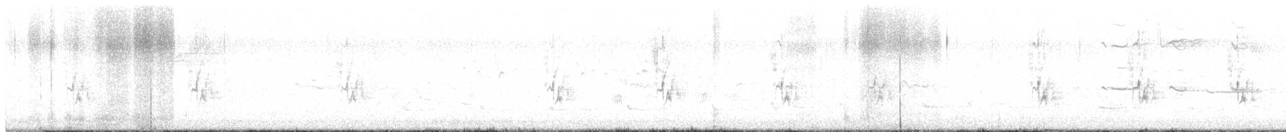 Stockente - ML636697330