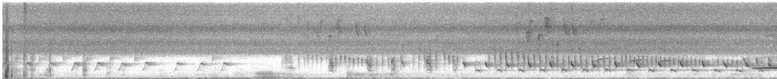 Lesser Ground-Cuckoo - ML636697710