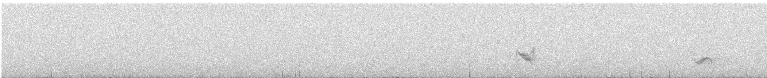 Plumbeous Vireo - ML636697713