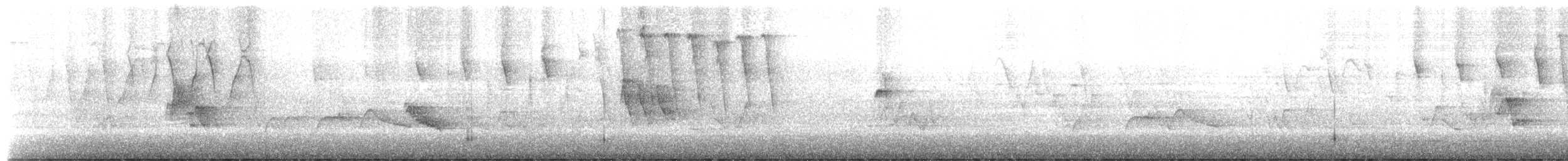 Olivflanken-Schnäppertyrann - ML636698587
