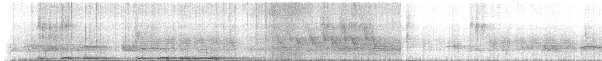 Cárabo Norteamericano - ML636698686