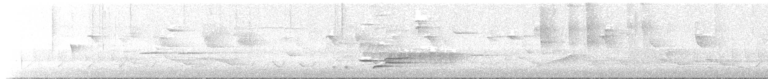 Wood Thrush - ML636698788