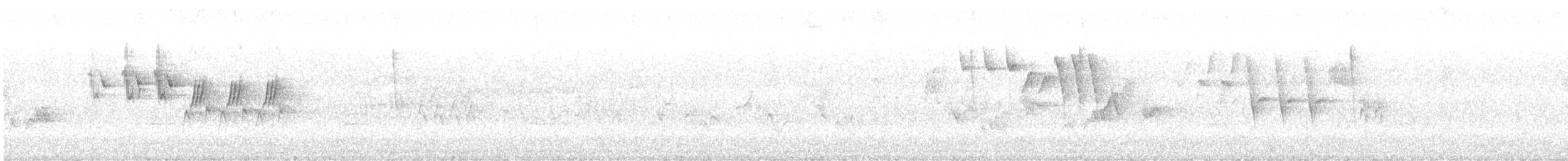 MacGillivray's Warbler - ML636699209