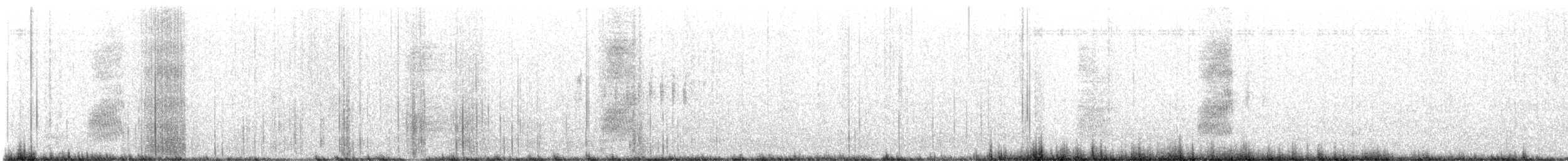 Флоридская сойка - ML636699836