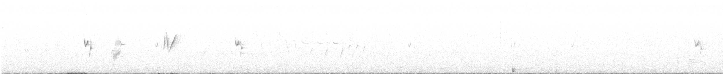 Dusky Flycatcher - ML636700849