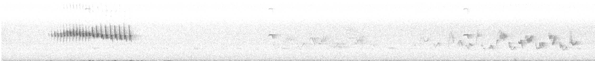 Orange-crowned Warbler - ML636701244