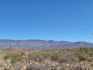 Saguaro NP--East--Cactus Forest Dr Loop, Pima, Arizona, United States -  eBird Hotspot