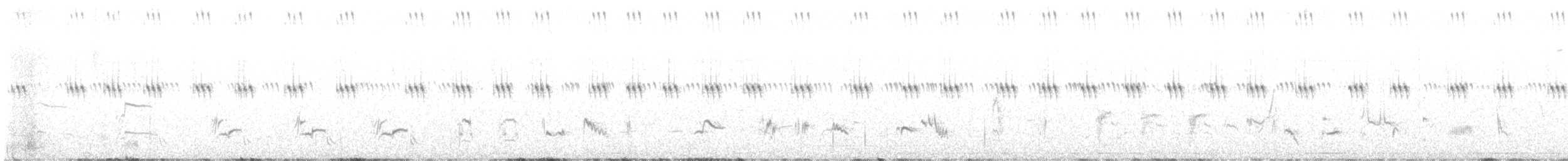Sage Thrasher - ML636701797