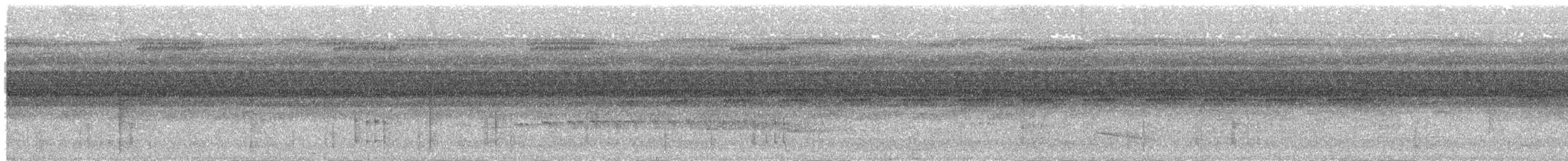 Pygmy Antwren - ML636701889