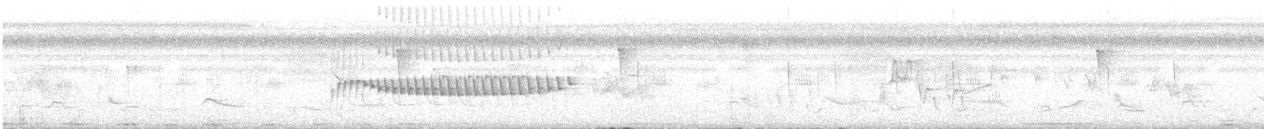 Cinereous Becard - ML636703669