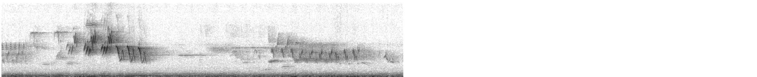 Mourning Warbler - ML636705224