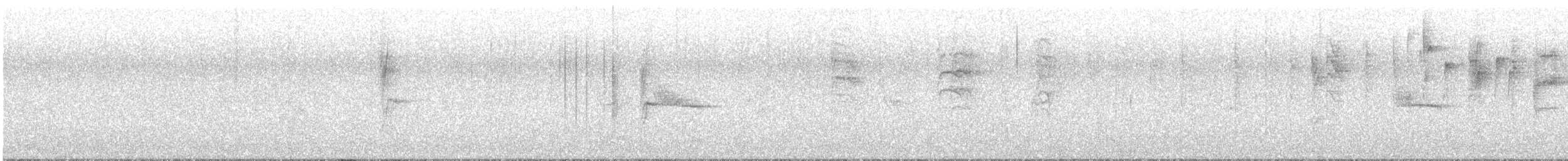 New Zealand Fantail - ML636706072